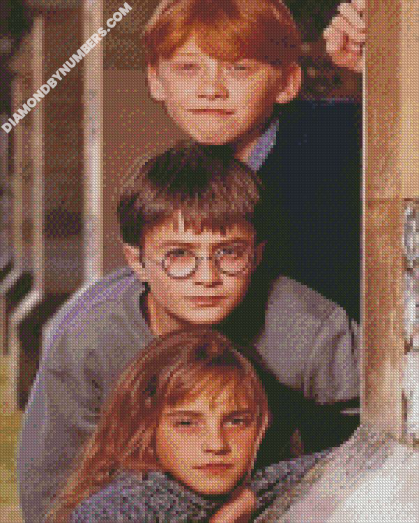 Harry Potter Hermione And Ron - 5D Diamond Paintings - DiamondByNumbers -  Diamond Painting art